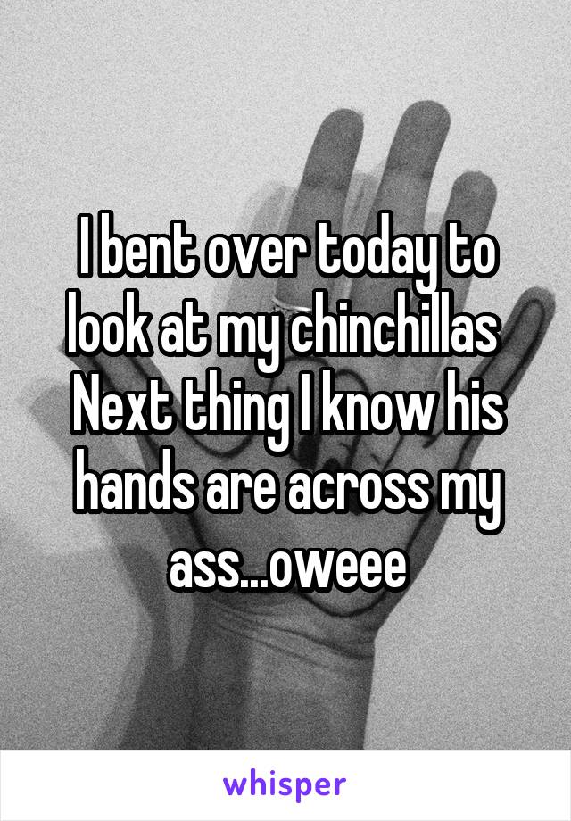 I bent over today to look at my chinchillas 
Next thing I know his hands are across my ass...oweee