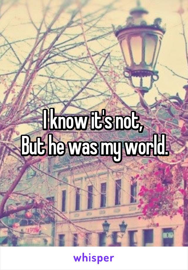 I know it's not, 
But he was my world.