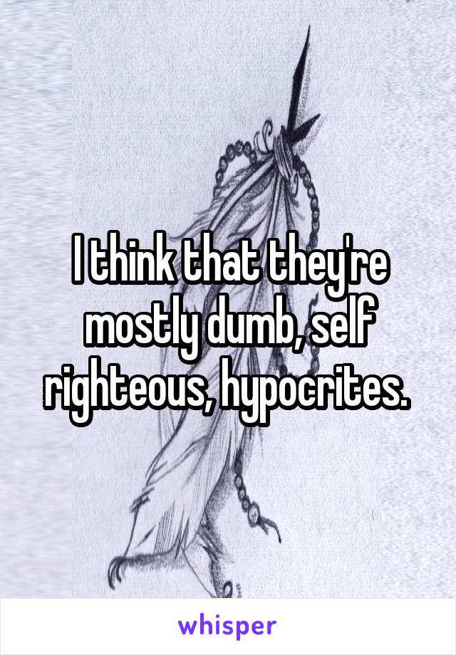 I think that they're mostly dumb, self righteous, hypocrites. 