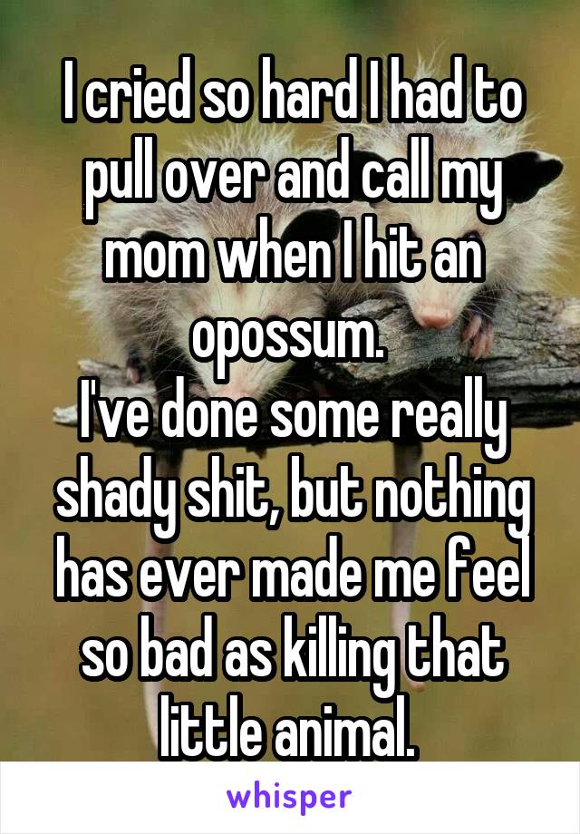 I cried so hard I had to pull over and call my mom when I hit an opossum. 
I've done some really shady shit, but nothing has ever made me feel so bad as killing that little animal. 