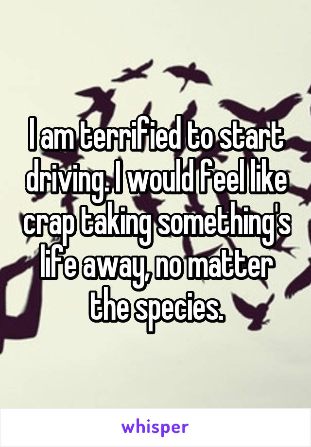 I am terrified to start driving. I would feel like crap taking something's life away, no matter the species.