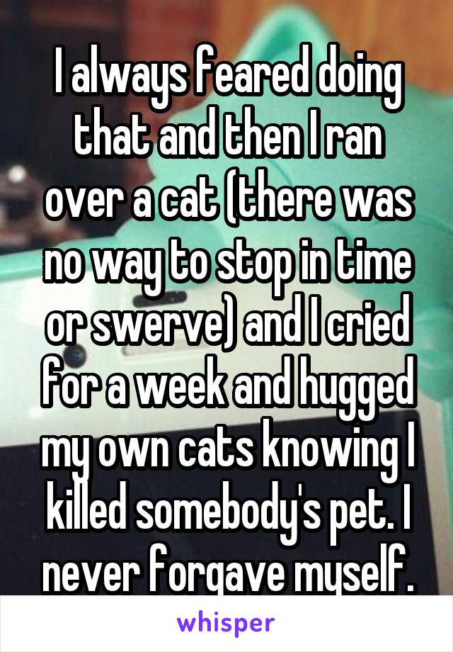 I always feared doing that and then I ran over a cat (there was no way to stop in time or swerve) and I cried for a week and hugged my own cats knowing I killed somebody's pet. I never forgave myself.