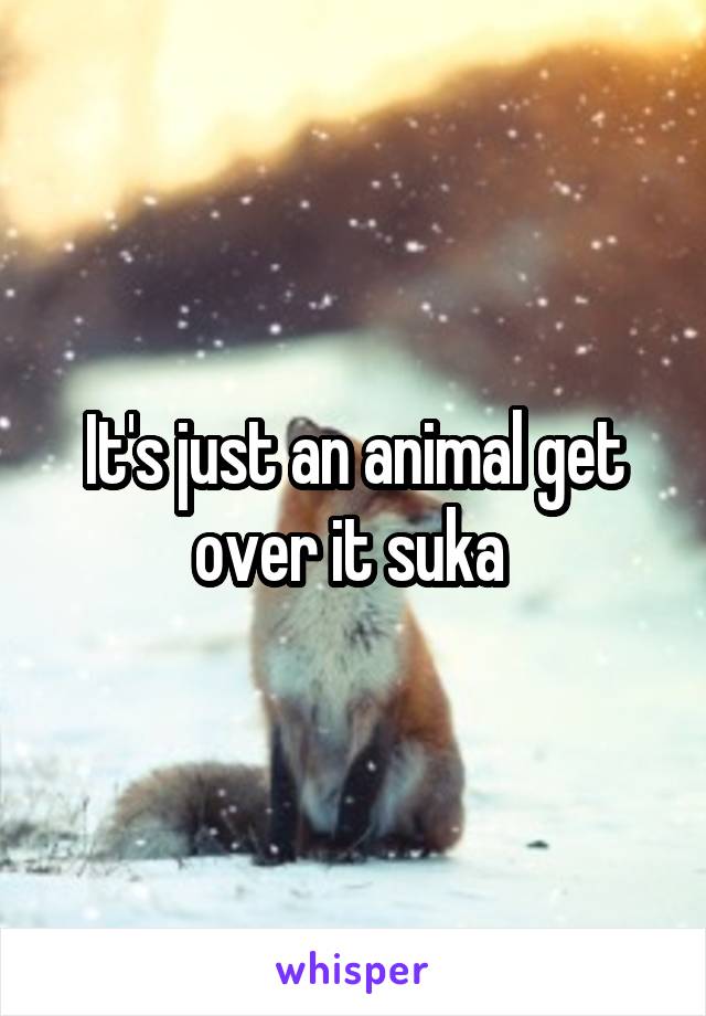 It's just an animal get over it suka 