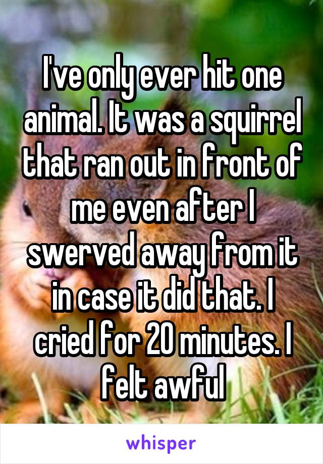 I've only ever hit one animal. It was a squirrel that ran out in front of me even after I swerved away from it in case it did that. I cried for 20 minutes. I felt awful