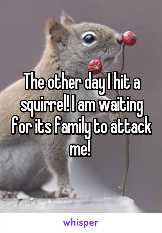 The other day I hit a squirrel! I am waiting for its family to attack me! 