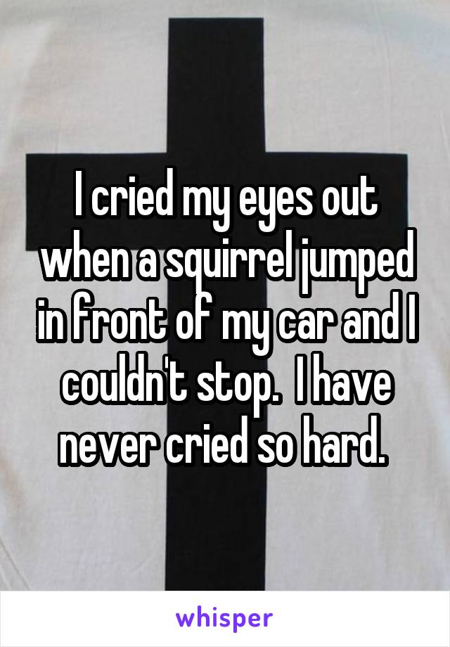 I cried my eyes out when a squirrel jumped in front of my car and I couldn't stop.  I have never cried so hard. 