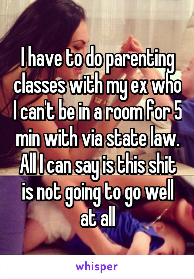 I have to do parenting classes with my ex who I can't be in a room for 5 min with via state law. All I can say is this shit is not going to go well at all