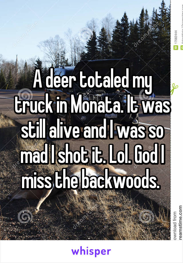 A deer totaled my truck in Monata. It was still alive and I was so mad I shot it. Lol. God I miss the backwoods. 