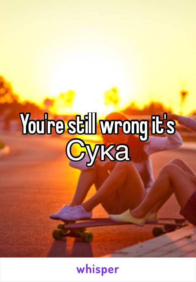 You're still wrong it's 
Сука