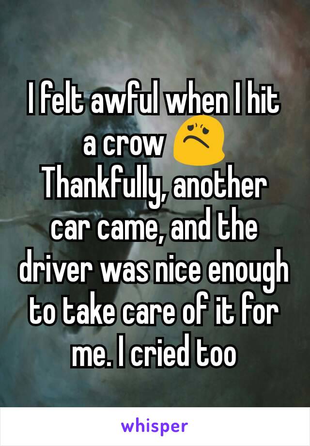 I felt awful when I hit a crow 😟 Thankfully, another car came, and the driver was nice enough to take care of it for me. I cried too