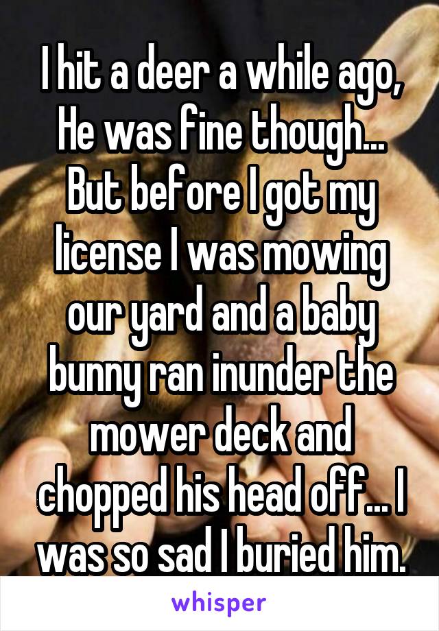I hit a deer a while ago, He was fine though...
But before I got my license I was mowing our yard and a baby bunny ran inunder the mower deck and chopped his head off... I was so sad I buried him.