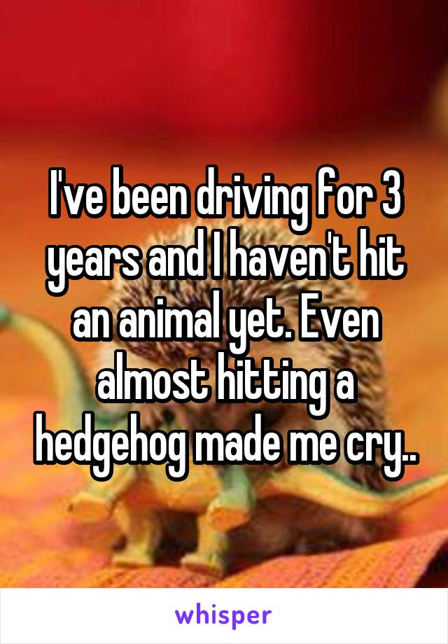 I've been driving for 3 years and I haven't hit an animal yet. Even almost hitting a hedgehog made me cry..