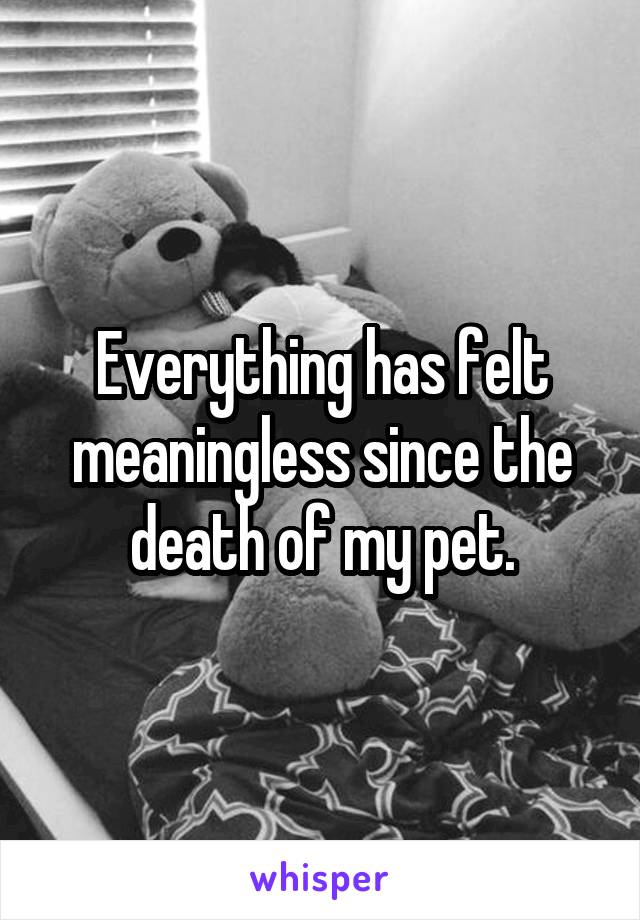 Everything has felt meaningless since the death of my pet.