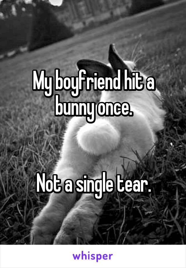 My boyfriend hit a bunny once.


Not a single tear.