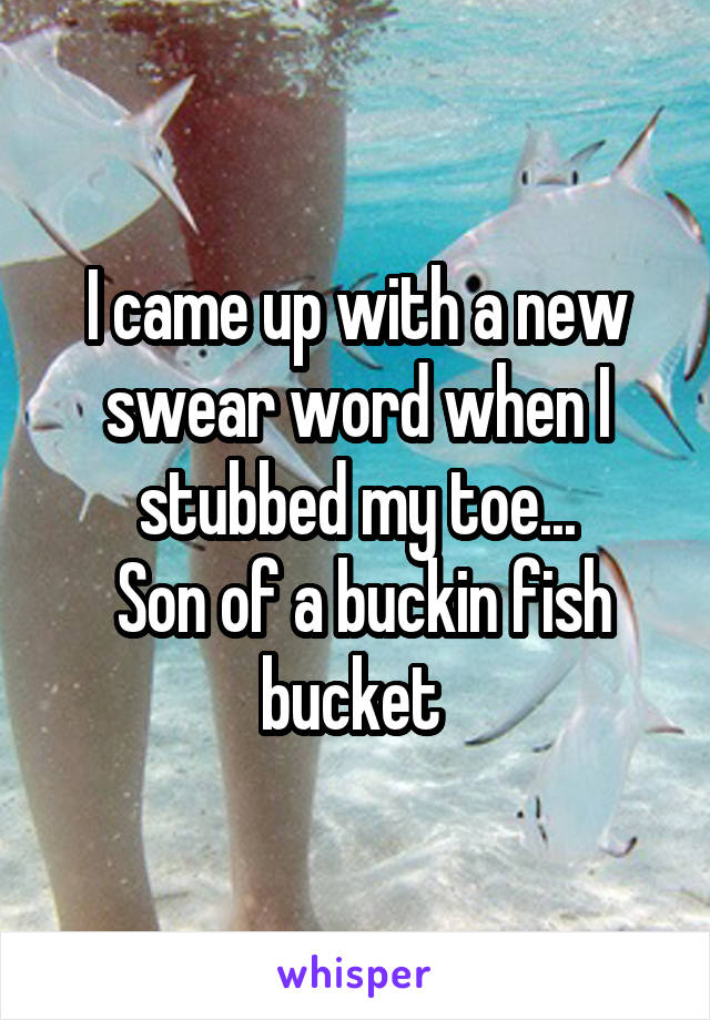 I came up with a new swear word when I stubbed my toe...
 Son of a buckin fish bucket 