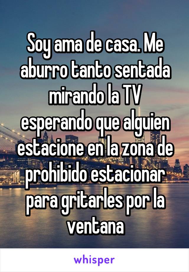 Soy ama de casa. Me aburro tanto sentada mirando la TV esperando que alguien estacione en la zona de prohibido estacionar para gritarles por la ventana