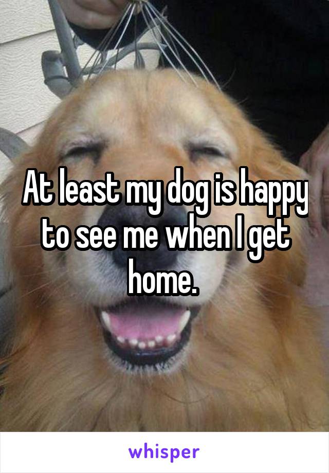 At least my dog is happy to see me when I get home. 