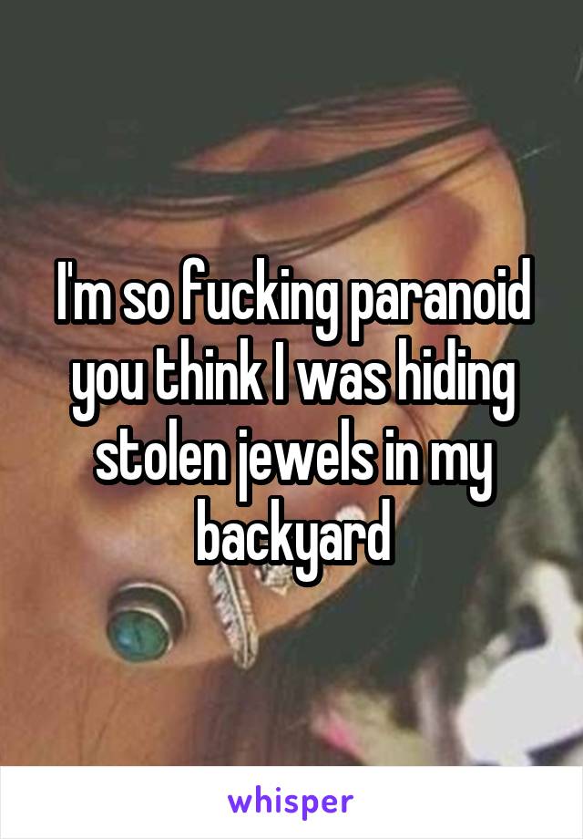 I'm so fucking paranoid you think I was hiding stolen jewels in my backyard