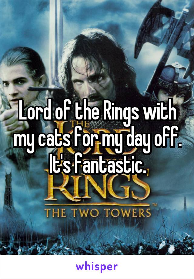 Lord of the Rings with my cats for my day off. It's fantastic.