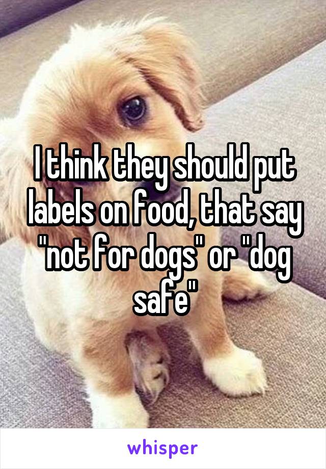 I think they should put labels on food, that say "not for dogs" or "dog safe"