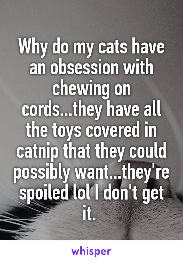 Why do my cats have an obsession with chewing on cords...they have all the toys covered in catnip that they could possibly want...they're spoiled lol I don't get it. 