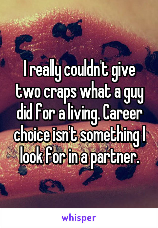 I really couldn't give two craps what a guy did for a living. Career choice isn't something I look for in a partner.