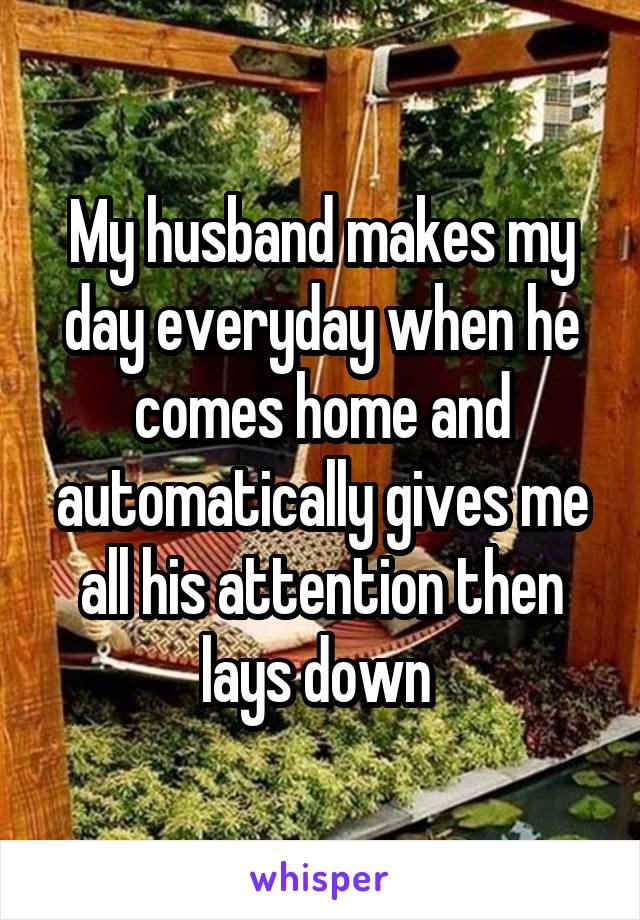 My husband makes my day everyday when he comes home and automatically gives me all his attention then lays down 