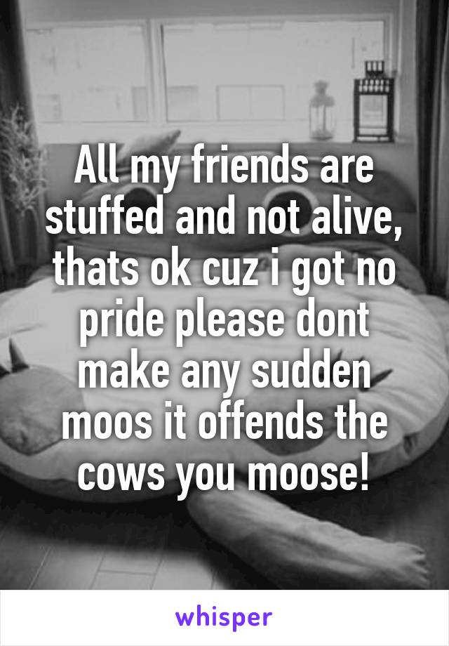 All my friends are stuffed and not alive, thats ok cuz i got no pride please dont make any sudden moos it offends the cows you moose!