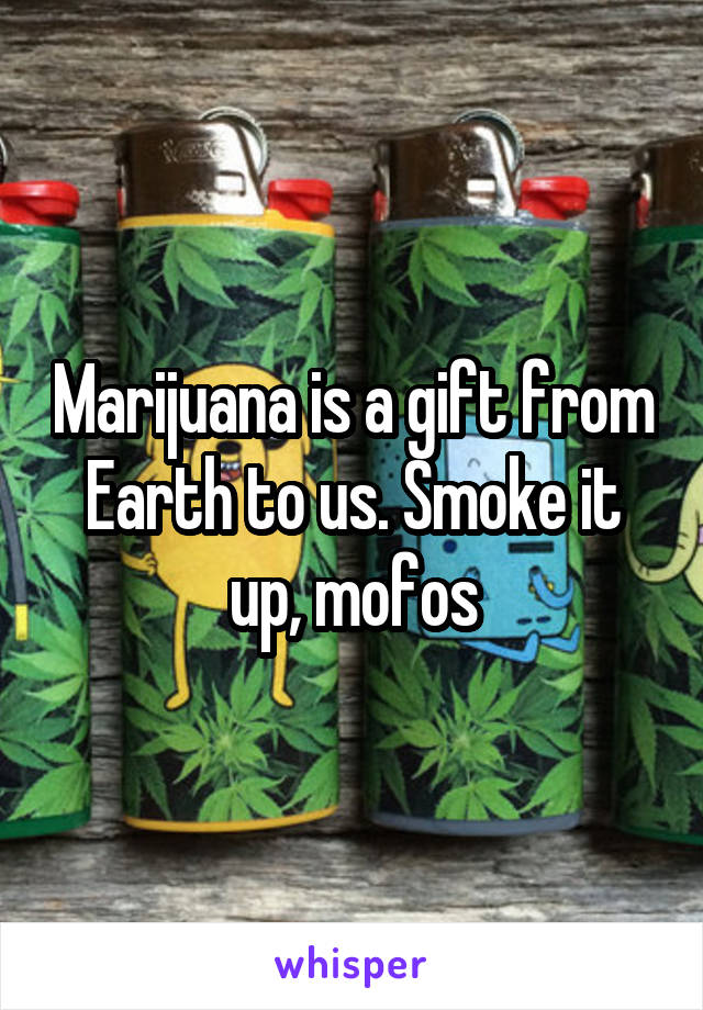 Marijuana is a gift from Earth to us. Smoke it up, mofos