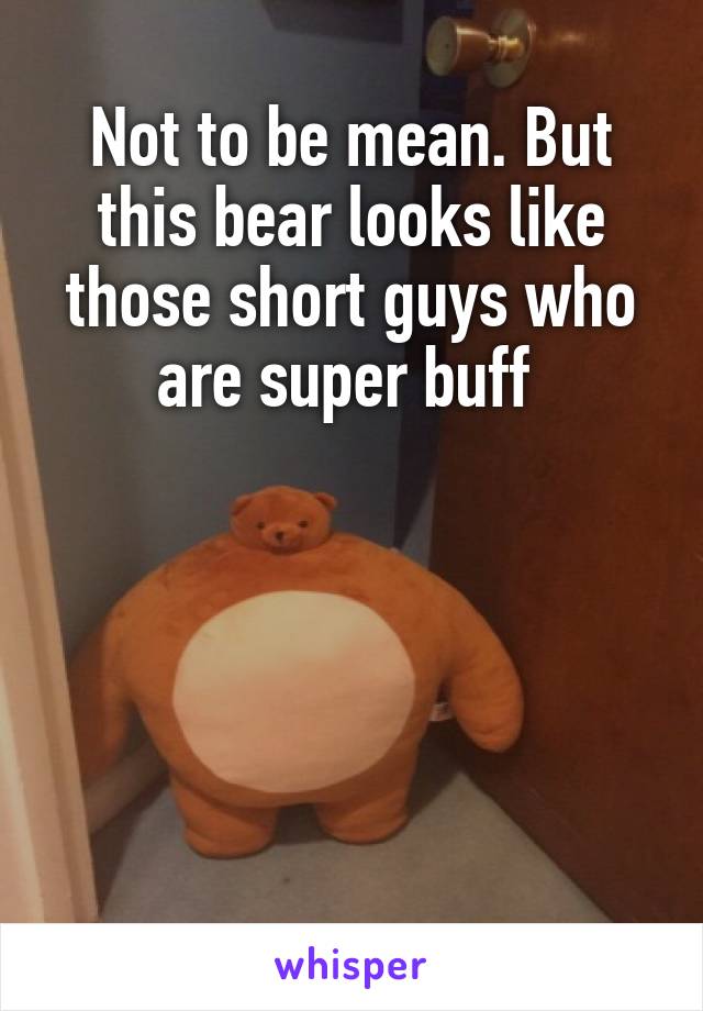 Not to be mean. But this bear looks like those short guys who are super buff 





