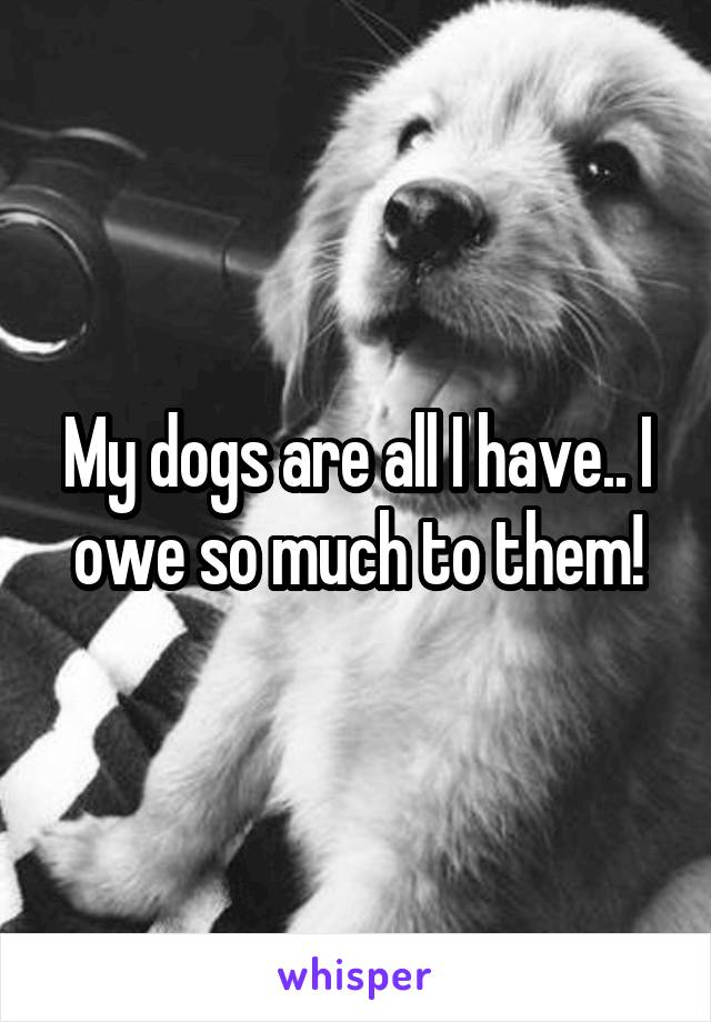 My dogs are all I have.. I owe so much to them!