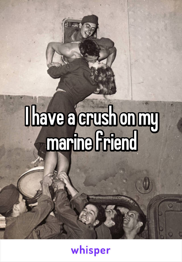 I have a crush on my marine friend