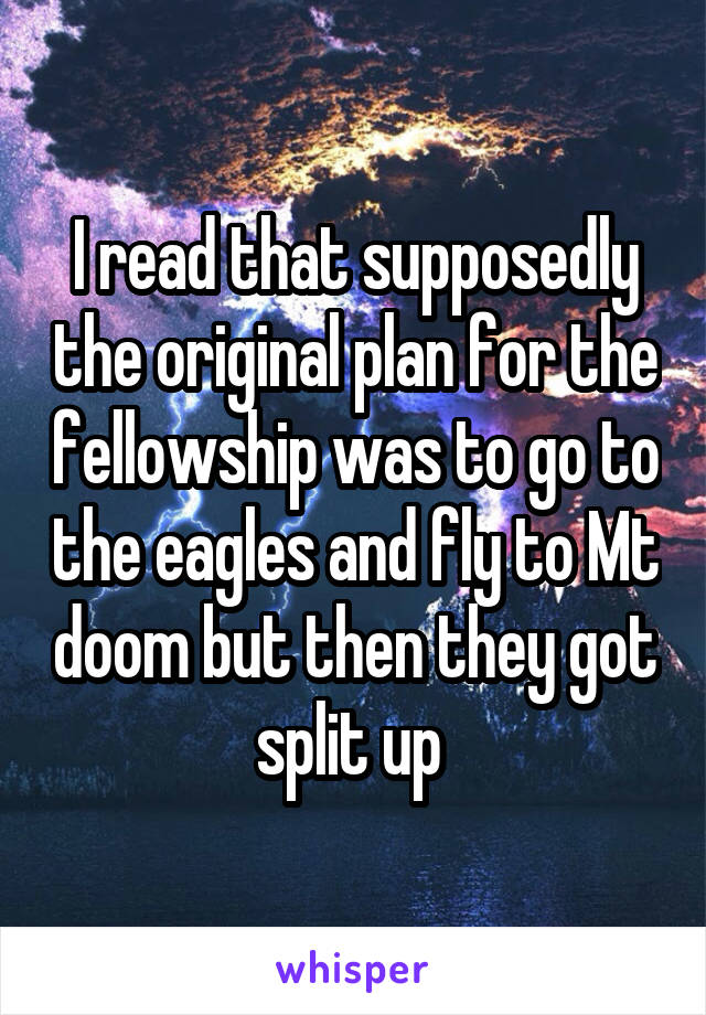 I read that supposedly the original plan for the fellowship was to go to the eagles and fly to Mt doom but then they got split up 