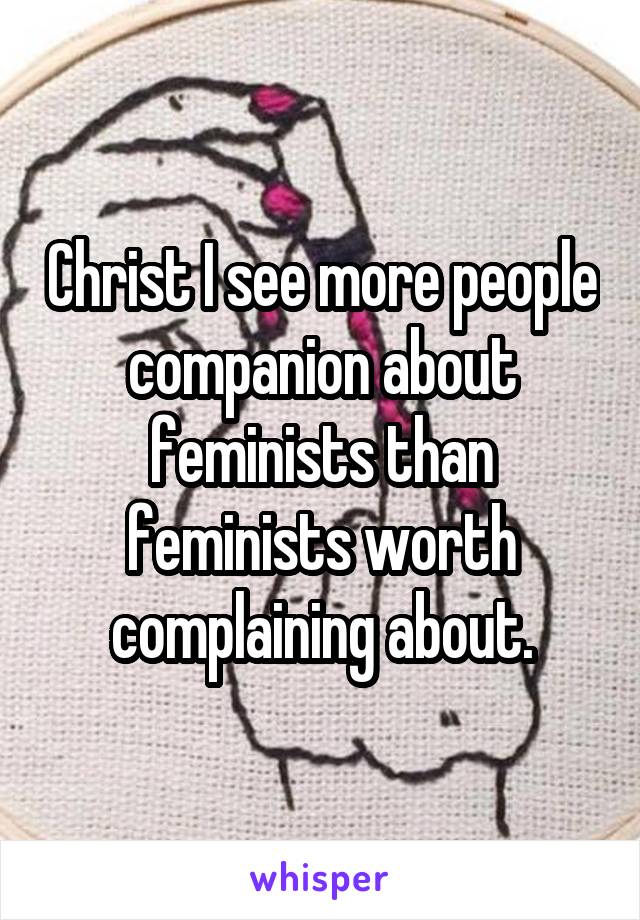 Christ I see more people companion about feminists than feminists worth complaining about.