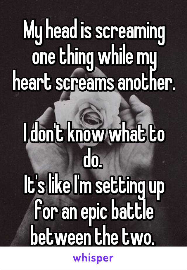 My head is screaming one thing while my heart screams another. 
I don't know what to do. 
It's like I'm setting up for an epic battle between the two. 