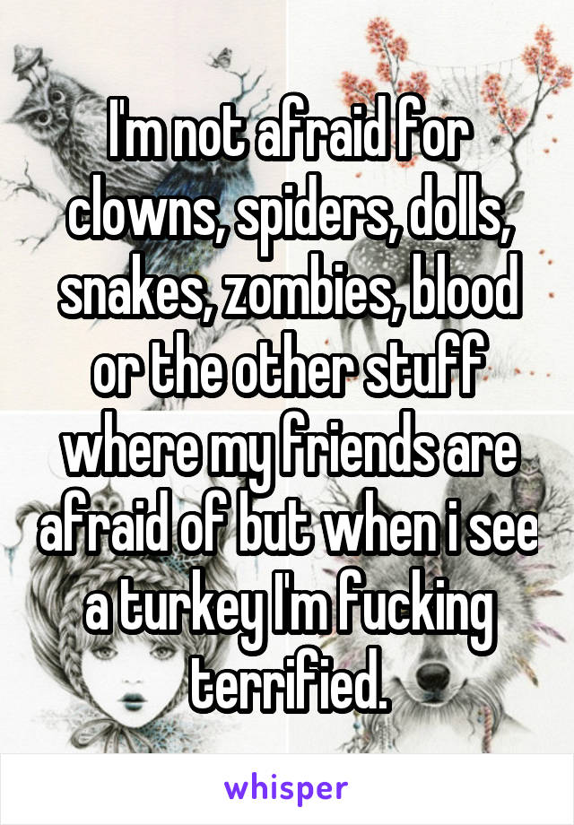 I'm not afraid for clowns, spiders, dolls, snakes, zombies, blood or the other stuff where my friends are afraid of but when i see a turkey I'm fucking terrified.