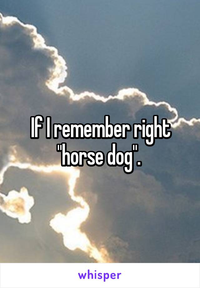 If I remember right "horse dog". 