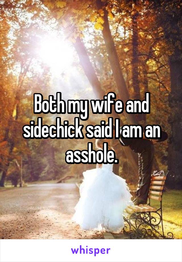 Both my wife and sidechick said I am an asshole.