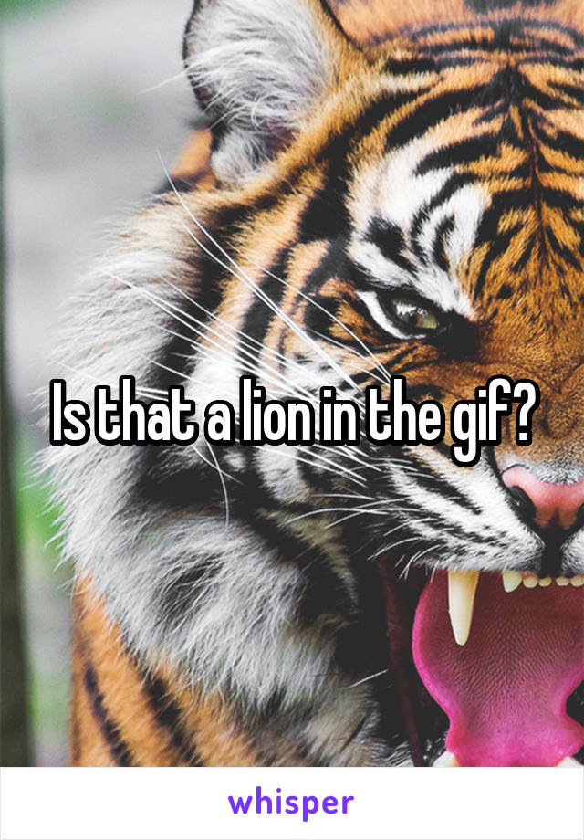 Is that a lion in the gif?