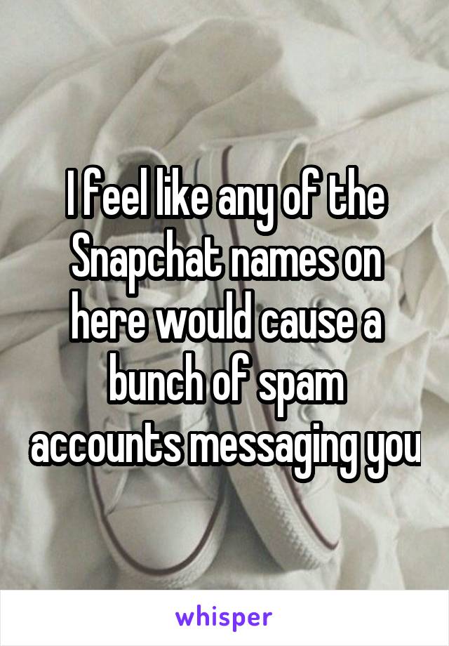 I feel like any of the Snapchat names on here would cause a bunch of spam accounts messaging you