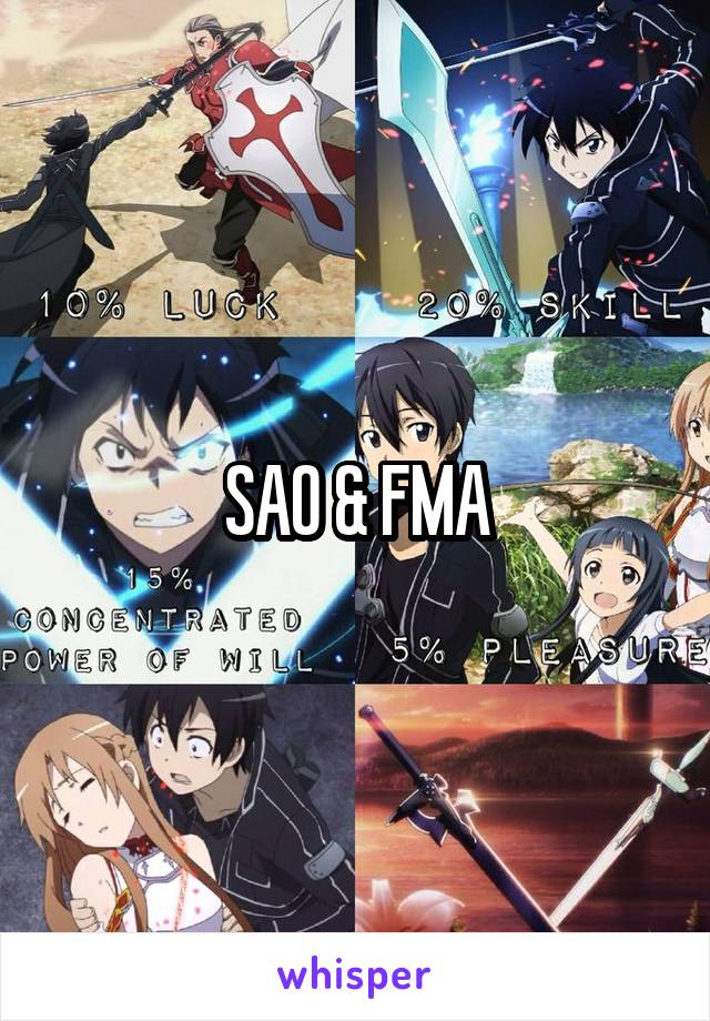 SAO & FMA