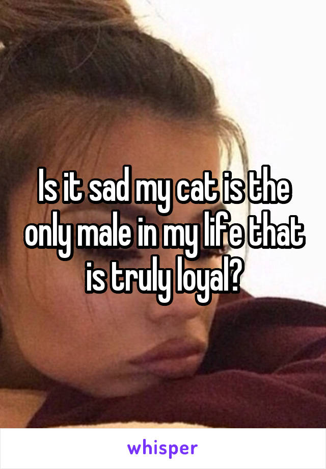 Is it sad my cat is the only male in my life that is truly loyal?