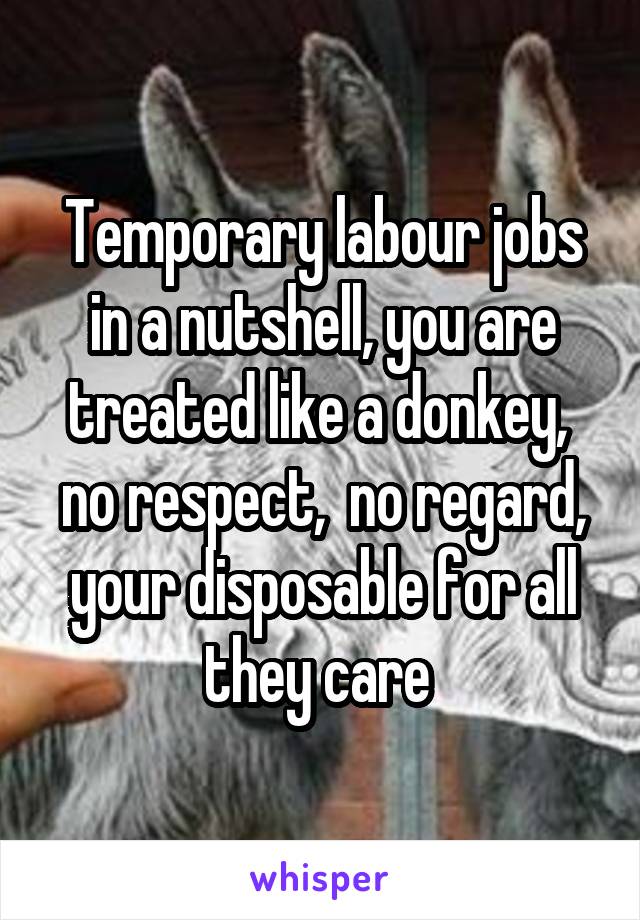 Temporary labour jobs in a nutshell, you are treated like a donkey,  no respect,  no regard, your disposable for all they care 