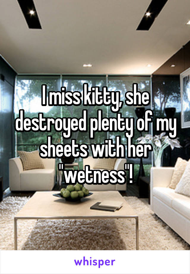 I miss kitty, she destroyed plenty of my sheets with her "wetness"!