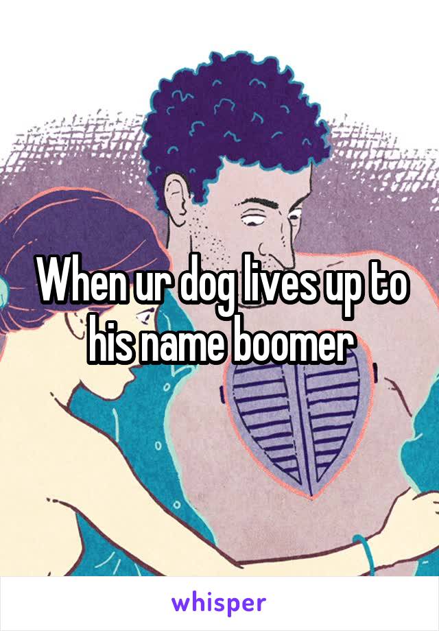 When ur dog lives up to his name boomer