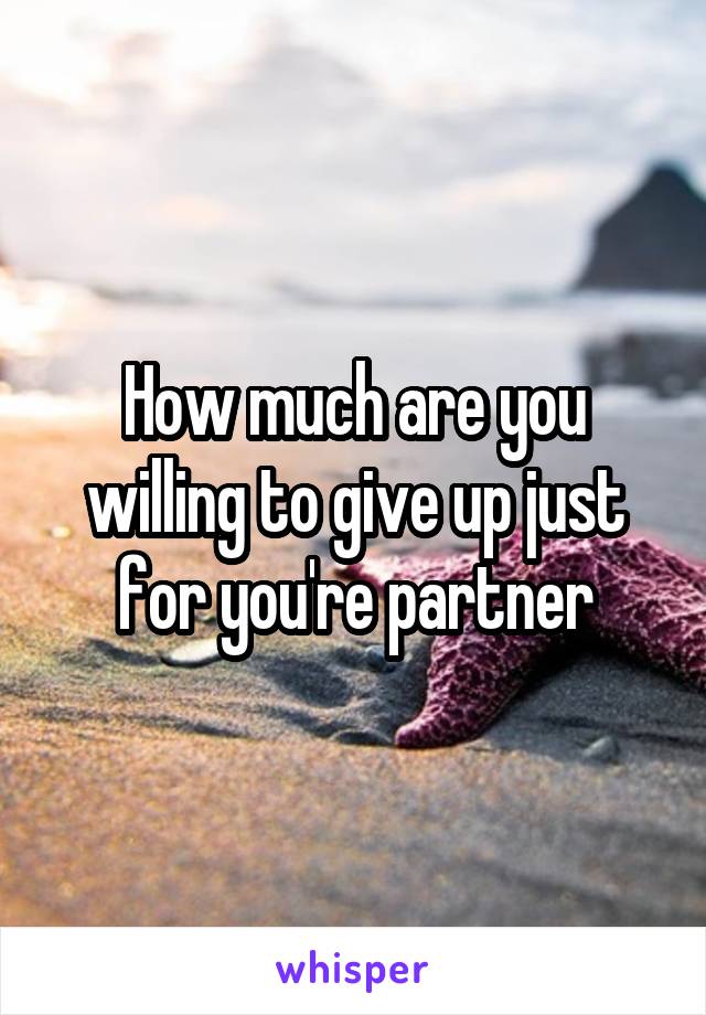 How much are you willing to give up just for you're partner