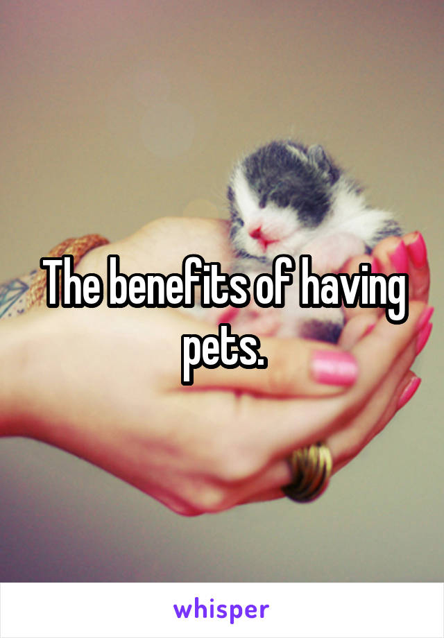 The benefits of having pets.