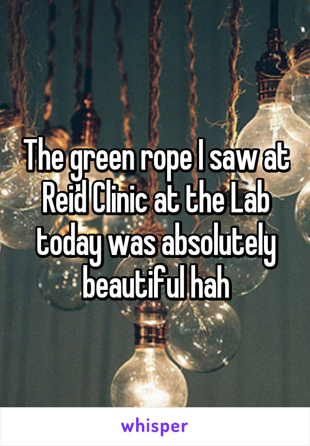 The green rope I saw at Reid Clinic at the Lab today was absolutely beautiful hah