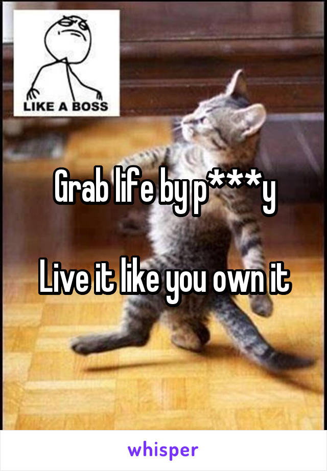 Grab life by p***y

Live it like you own it