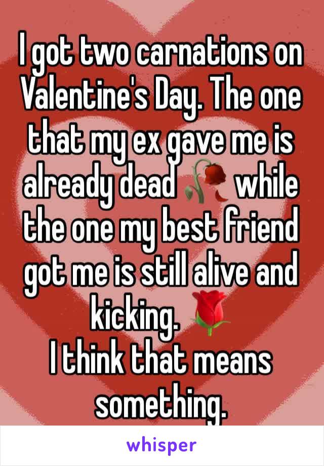 I got two carnations on Valentine's Day. The one that my ex gave me is already dead 🥀 while the one my best friend got me is still alive and kicking. 🌹
I think that means something. 